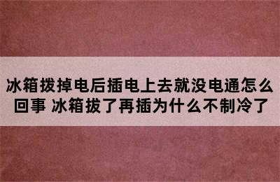 冰箱拨掉电后插电上去就没电通怎么回事 冰箱拔了再插为什么不制冷了